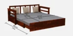 Meadow Solid Sheesham Wood Sofa Cum Bed In Rich Walnut Finish - Image 11